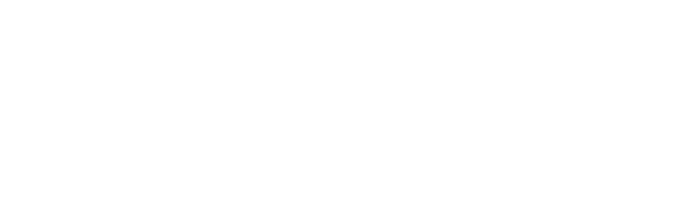 Punto Seguridad