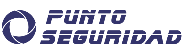 Punto Seguridad